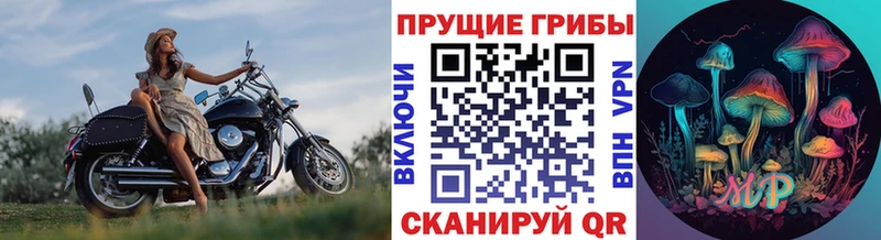 Псилоцибиновые грибы Cubensis  Нурлат 