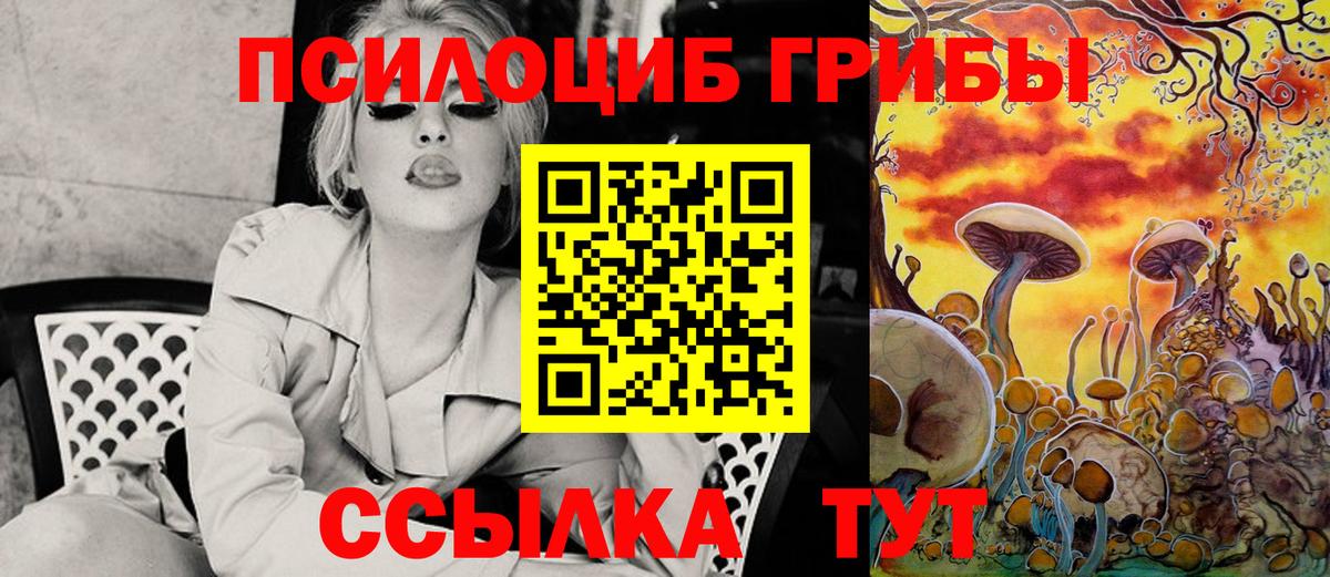 Галлюциногенные грибы Psilocybine cubensis Нурлат