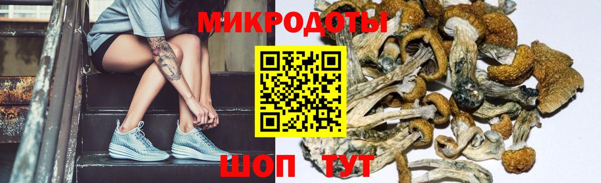 Псилоцибиновые грибы прущие грибы  Галлюциногенные грибы прущие грибы  Нурлат 