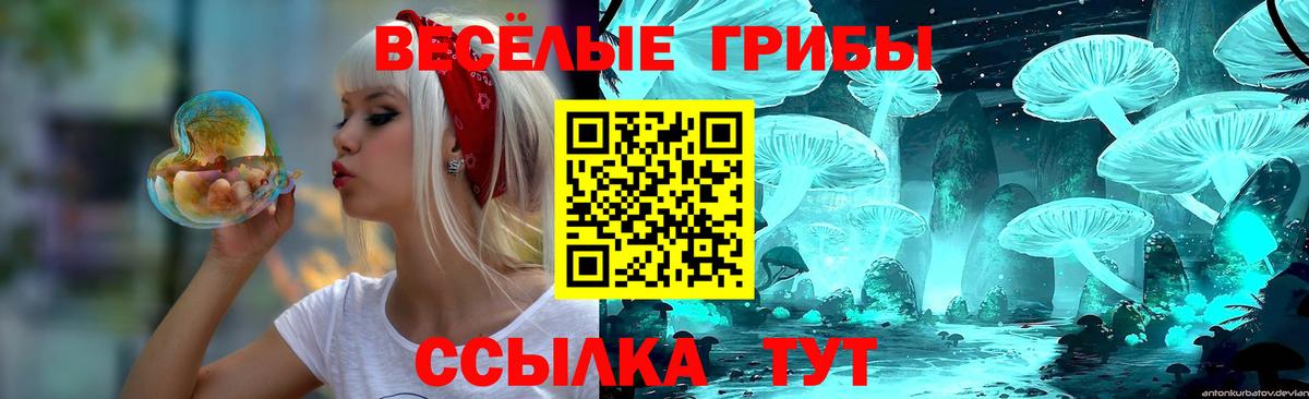 Нурлат  Галлюциногенные грибы Cubensis  Вход с VPN 